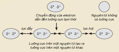 BÀI 13. LIÊN KẾT HYDROGEN VÀ TƯƠNG TÁC VANDER WAALS
