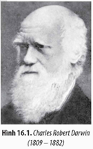 I. QUAN SÁT CỦA DARWIN VỀ CHỌN LỌC TỰ NHIÊN VÀ HÌNH THÀNH LOÀI