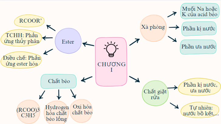 BÀI 3. ÔN TẬP CHƯƠNG 1