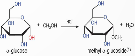 BÀI 4. GIỚI THIỆU VỀ CARBOHYDRATE GLUCOSE VÀ FRUCTOSE