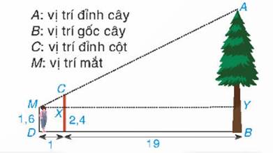 BÀI 36. CÁC TRƯỜNG HỢP ĐỒNG DẠNG CỦA HAI TAM GIÁC VUÔNG
