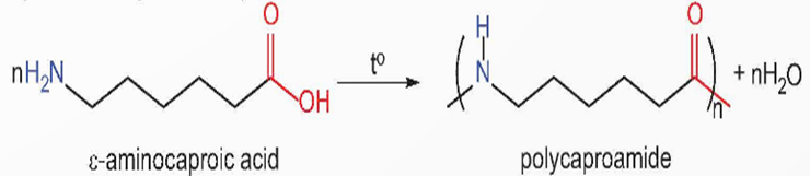 BÀI 9. AMINO ACID VÀ PEPTIDE