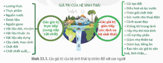 I. KHÁI NIỆM SINH THÁI HỌC PHỤC HỒI VÀ BẢO TỒN