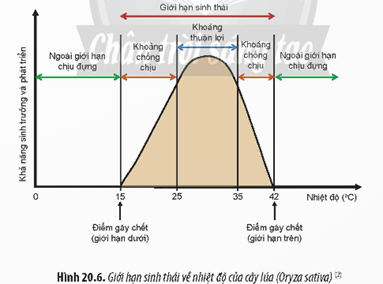 I. MÔI TRƯỜNG SỐNG CỦA SINH VẬT