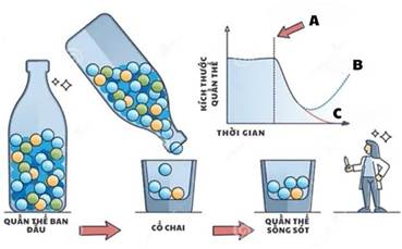 I. TIẾN HÓA NHỎ