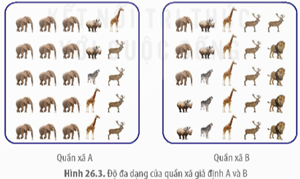 I. KHÁI NIỆM QUẦN XÃ SINH VẬT