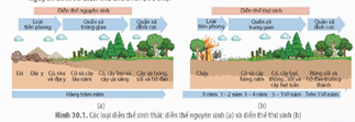 I. KHÁI NIỆM VÀ CÁC LOẠI DIỄN THẾ SINH THÁI
