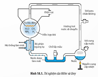 I. TIẾN HÓA HÓA HỌC