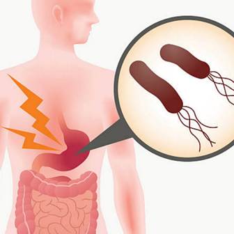 I. MÔI TRƯỜNG SỐNG CỦA SINH VẬT