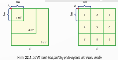 1. Xác định kích thước quần thể