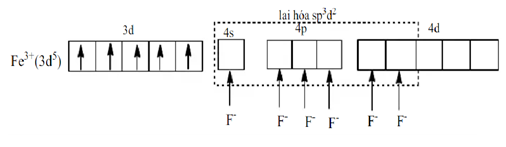 BÀI 8: LIÊN KẾT VÀ CẤU TẠO CỦA PHỨC CHẤT