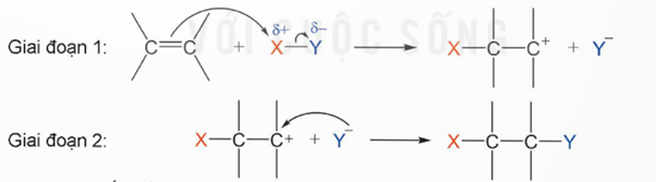BÀI 3: CƠ CHẾ PHẢN ỨNG CỘNG