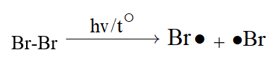 BÀI 2: CƠ CHẾ PHẢN ỨNG THẾ