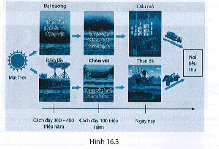 BÀI 16. VÒNG NĂNG LƯỢNG TRÊN TRÁI ĐẤT, NĂNG LƯỢNG HÓA THẠCH