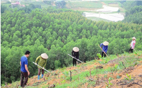 BÀI 1: VAI TRÒ VÀ TRIỂN VỌNG CỦA LÂM NGHIỆP