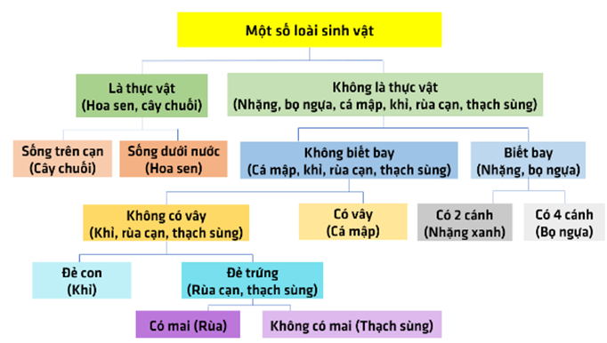 1. NHẬN BIẾT (2 câu)