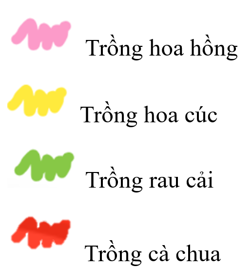 1. NHẬN BIẾT (6 câu)