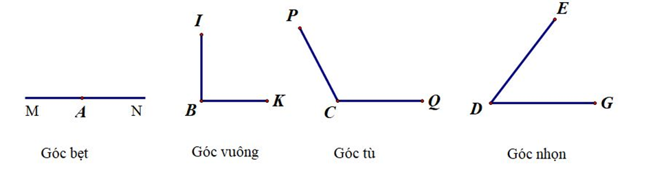 1. NHẬN BIẾT (7 câu)