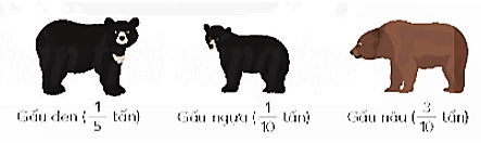 1. NHẬN BIẾT (5 câu)
