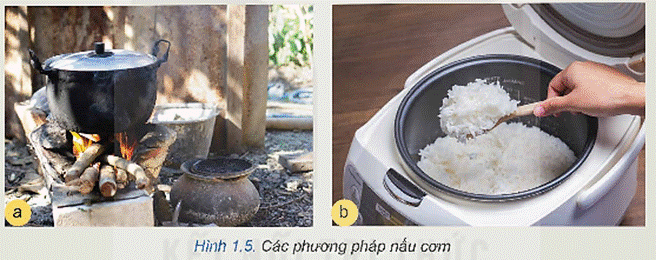 1. NHẬN BIẾT (4 CÂU)
