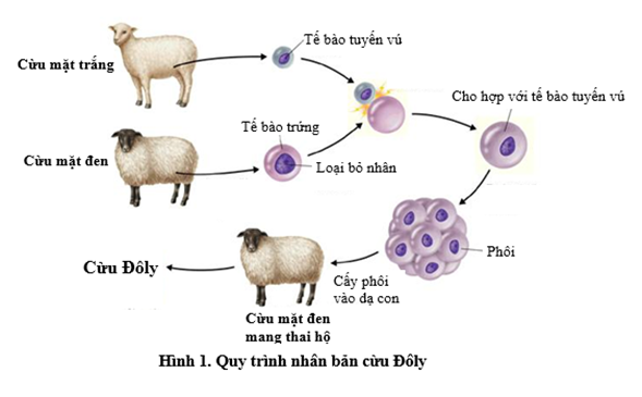 1. NHẬN BIẾT (3 câu)