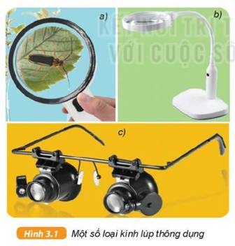 1. NHẬN BIẾT (4 câu)