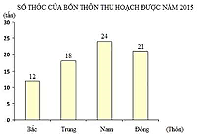 1. NHẬN BIẾT (5 câu)