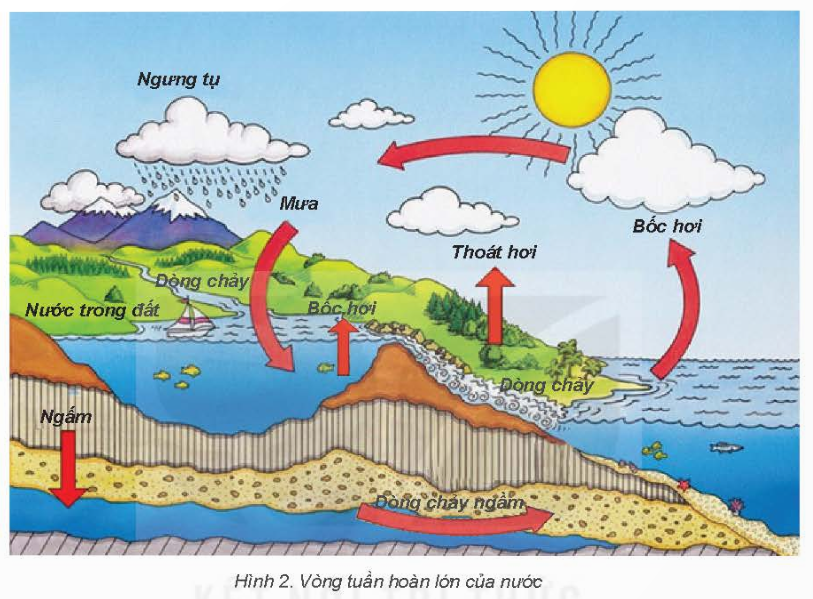 1. Nhận biết (5 câu)