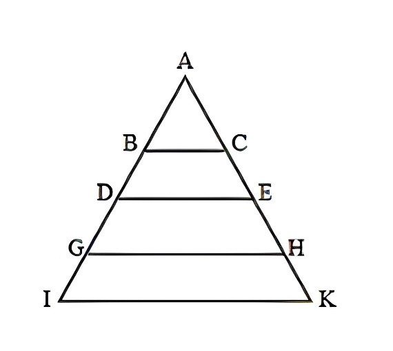 1. NHẬN BIẾT (7 câu)