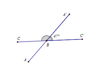 BÀI 8. GÓC Ở VỊ TRÍ ĐẶC BIỆT. TIA PHÂN GIÁC CỦA MỘT GÓC (20 BÀI)