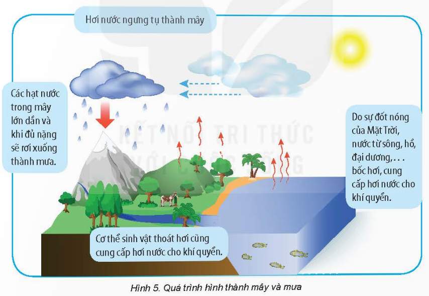 1. Nhận biết (6 câu)