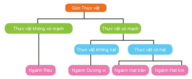 1. NHẬN BIẾT (6 câu)