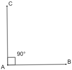 1. NHẬN BIẾT (4 câu)