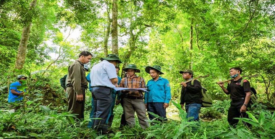BÀI 6: Ý NGHĨA, NHIỆM VỤ, THỰC TRẠNG CỦA VIỆC BẢO VỆ VÀ KHAI THÁC RỪNG