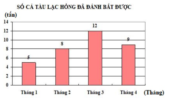 1. NHẬN BIẾT (5 câu)