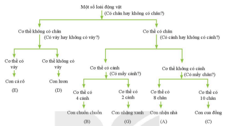 1. NHẬN BIẾT (2 câu)