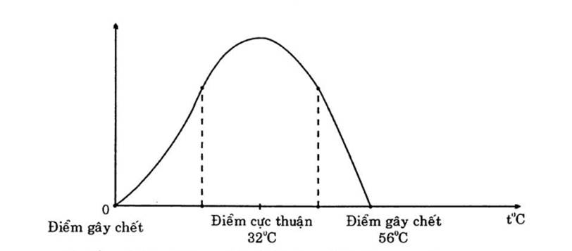 CHƯƠNG VIII. SINH VẬT VÀ MÔI TRƯỜNG