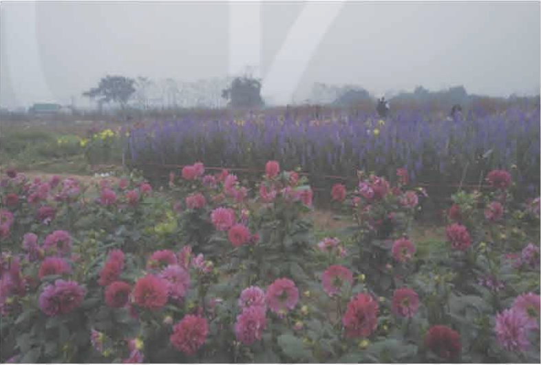 CHƯƠNG 7: PHẦN MỀM CHỈNH SỬA ẢNH VÀ LÀM VIDEO