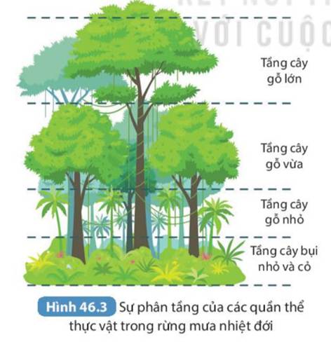 BÀI 46. CÂN BẰNG TỰ NHIÊN (21 câu)