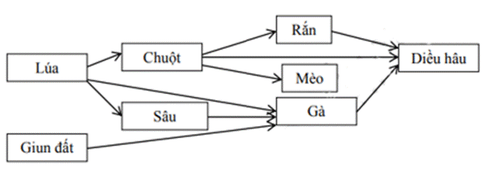 BÀI 44. HỆ SINH THÁI (21 câu)