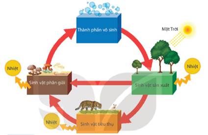 BÀI 44. HỆ SINH THÁI (21 câu)