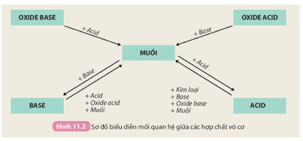 BÀI 11: MUỐI