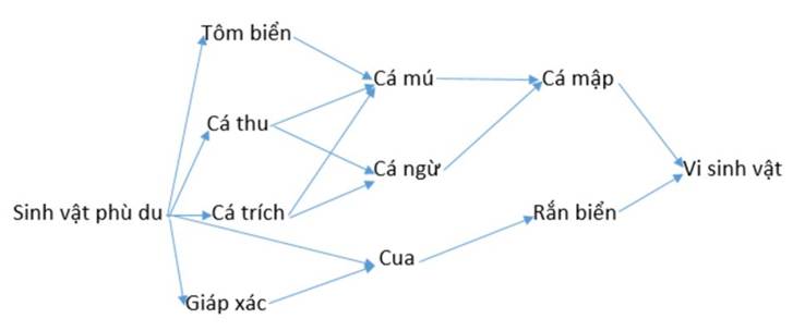 BÀI 44. HỆ SINH THÁI (21 câu)