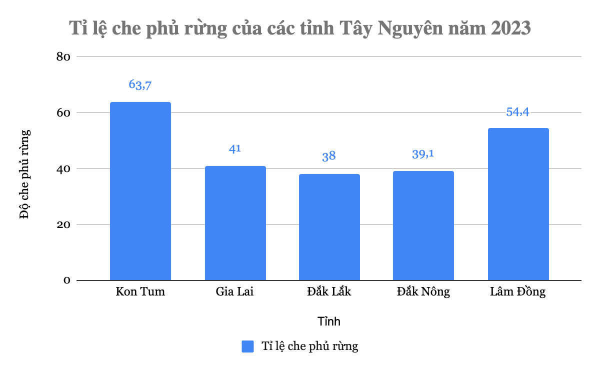 1. NHẬN BIẾT (6 CÂU)