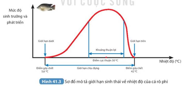 CHƯƠNG VIII. SINH VẬT VÀ MÔI TRƯỜNG