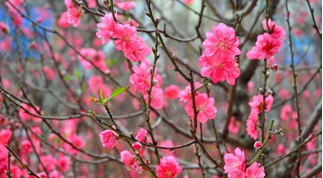 Nhận biết