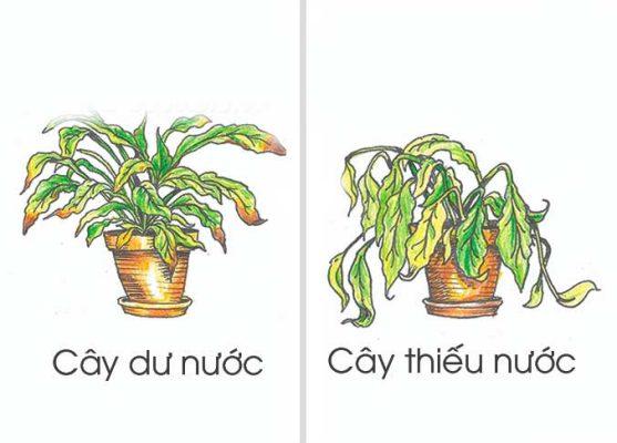 Nhận biết