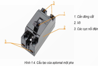 1. NHẬN BIẾT (4 CÂU)