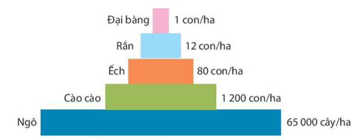 BÀI 44. HỆ SINH THÁI (21 câu)