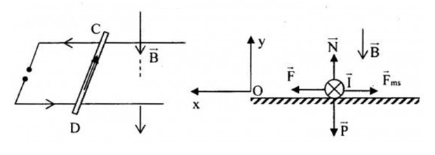 BÀI 15 : LỰC TỪ TÁC DỤNG LÊN DÂY DẪN MANG DÒNG ĐIỆN CẢM ỨNG TỪ